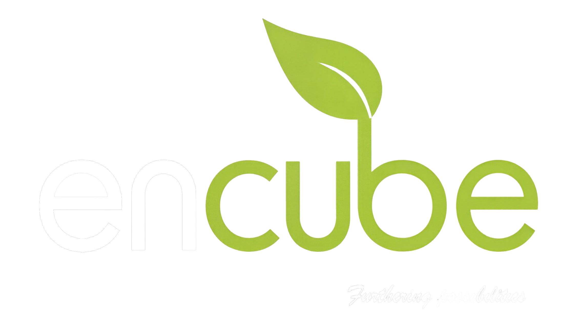 EnCube Advisory