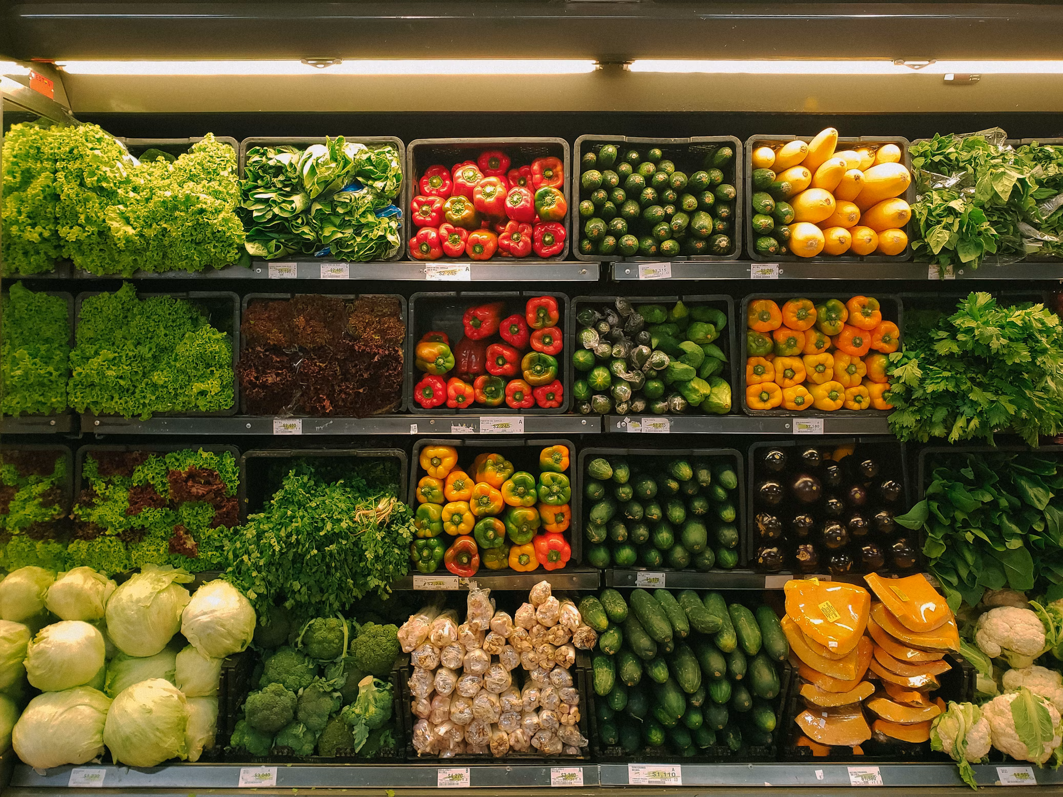 Food & Beverage